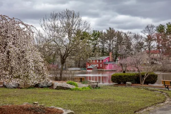 Bergenfield